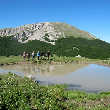 روتوندا B&B Sole Del Pollino المظهر الخارجي الصورة