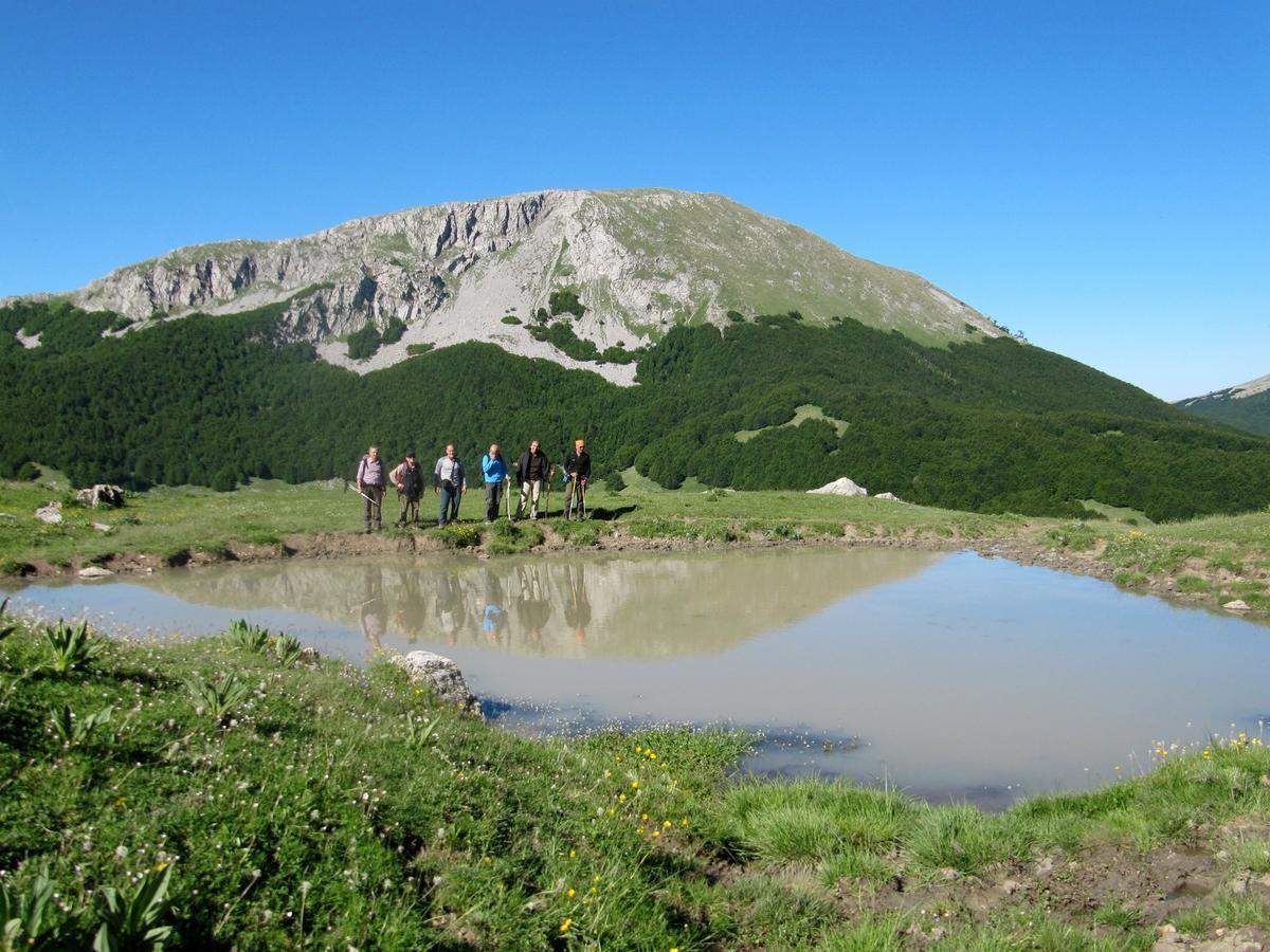 روتوندا B&B Sole Del Pollino المظهر الخارجي الصورة