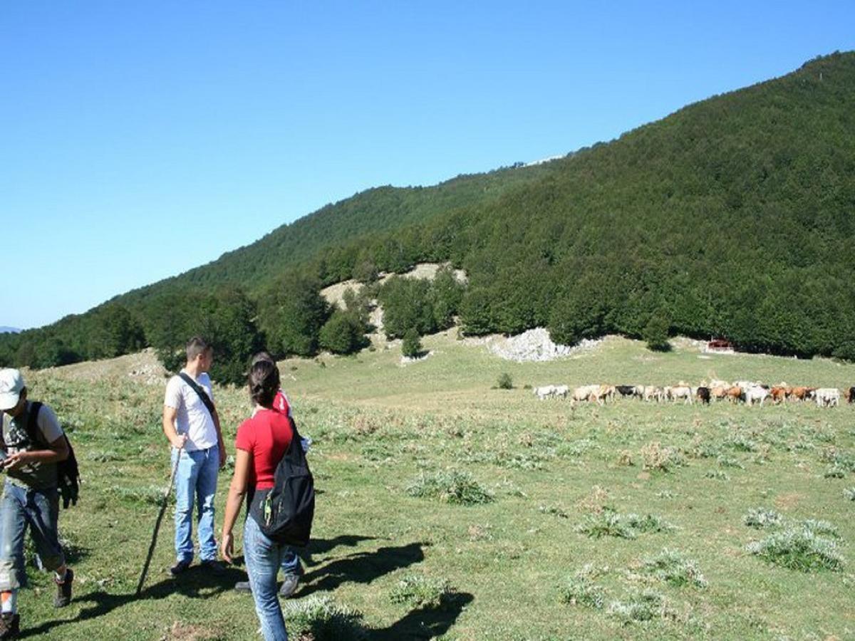 روتوندا B&B Sole Del Pollino المظهر الخارجي الصورة